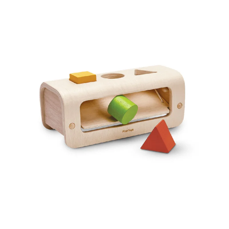 Shape & Sort Wooden Blocks