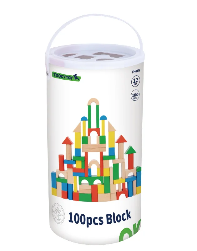 WOODEN BLOCKS 100PC